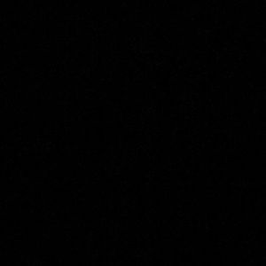 Meet your Posher, Bailey